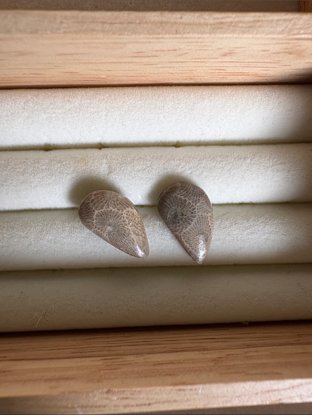 Teardrop Petoskey Stone Handmade Earrings